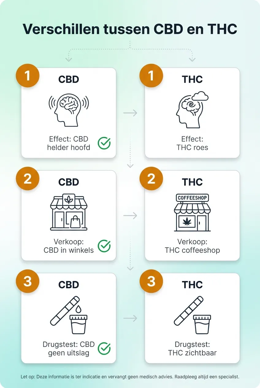 Infographic die de verschillen tussen CBD en THC uitlegt: effect op je hoofd, waar te koop, en drugstest resultaten